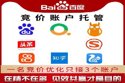 成功SEM代理案例：精准投放的策略
